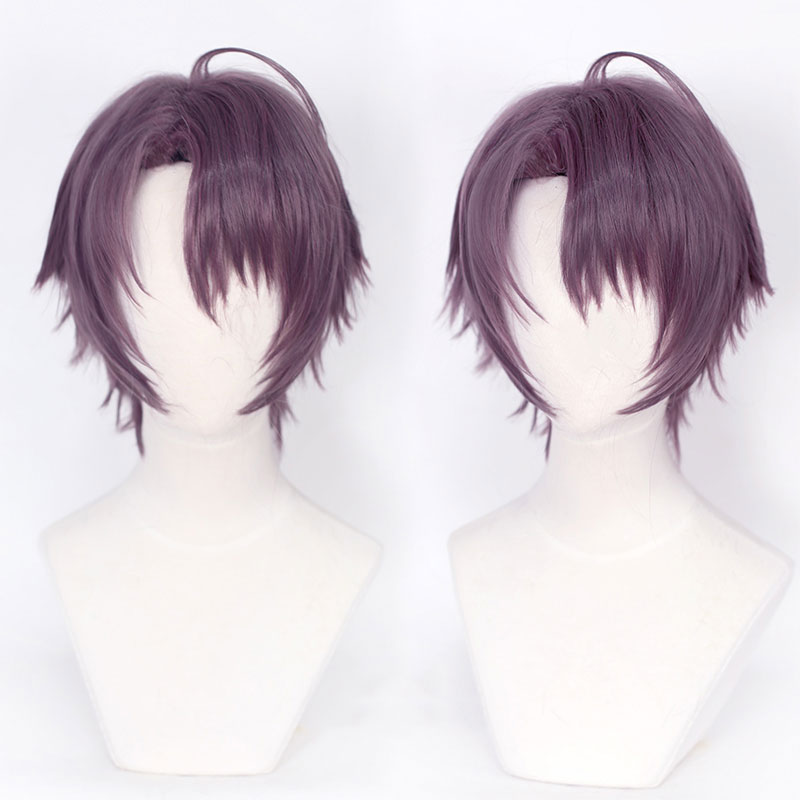 白聖女と黒牧師　ローレンス　かつら　あほ毛　カツラ　短ぱつ　撮影用　かっこいい
